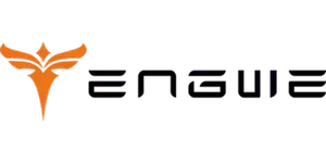 engwe logo