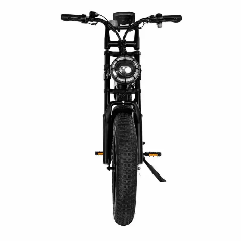 fatbike qmwheel v20 pro