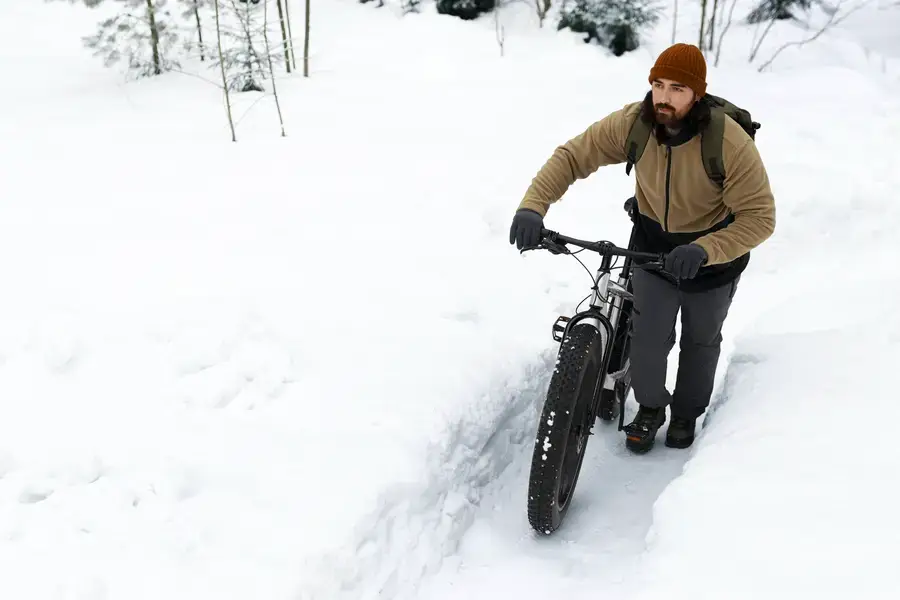 puissance couple batterie fatbike guide