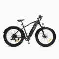 fatbike dyu king750