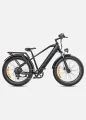 engwe e26 fatbike